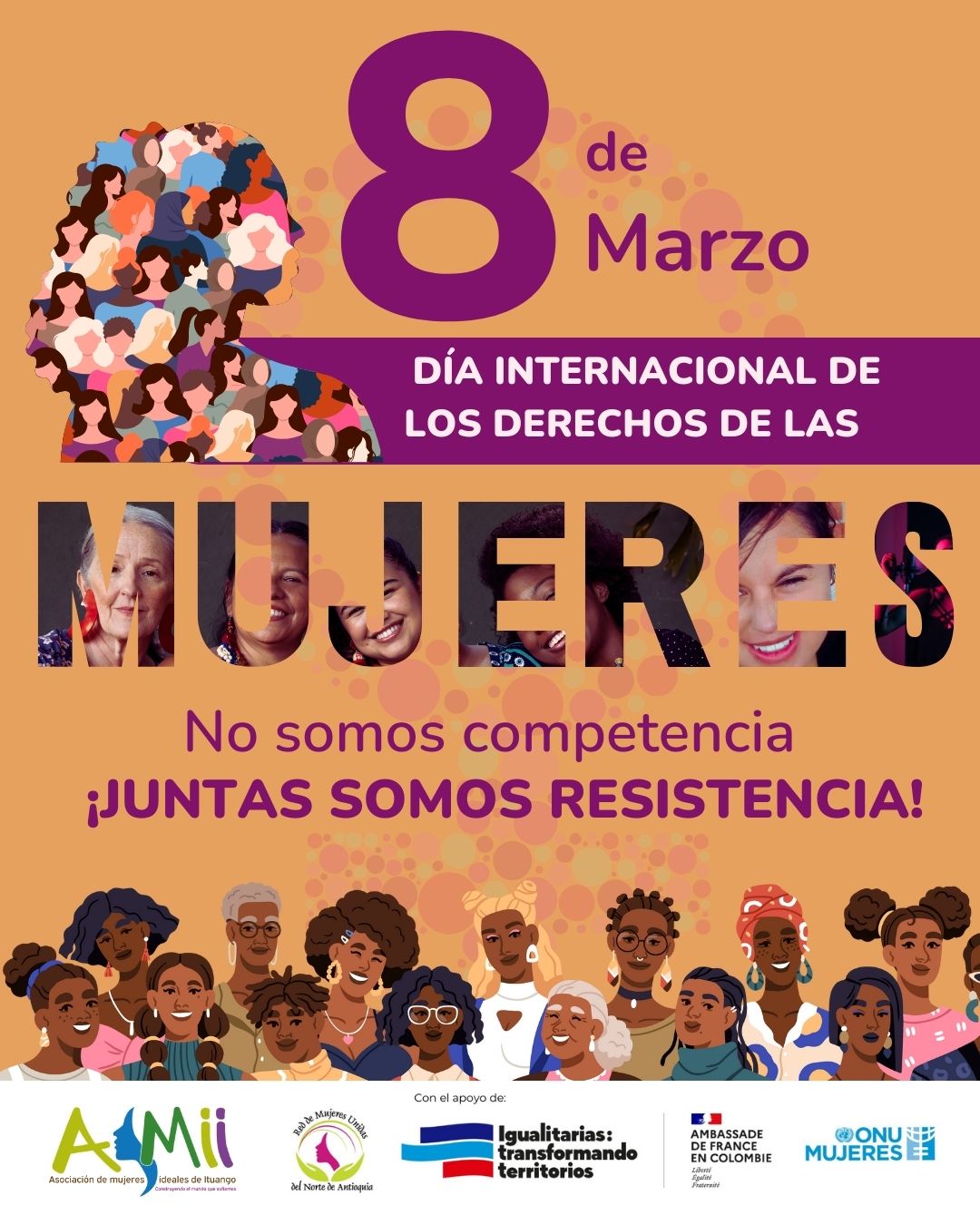 WhatsApp Image 2025-03-08 at 06.43.58